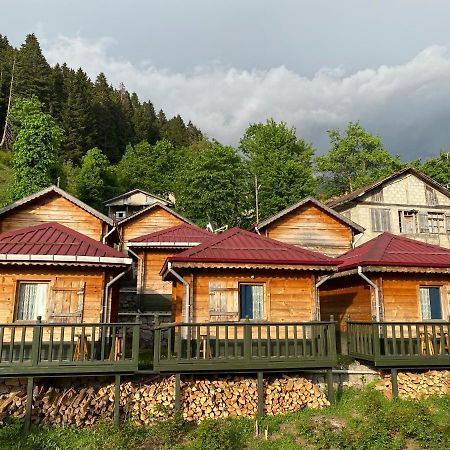 Pilita Bungalov&Rest Ayder Yaylasi Luaran gambar