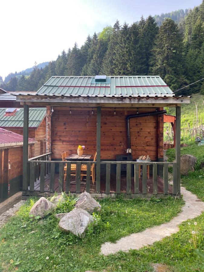 Pilita Bungalov&Rest Ayder Yaylasi Luaran gambar