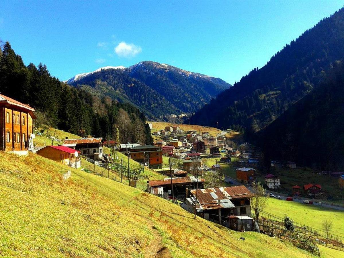 Pilita Bungalov&Rest Ayder Yaylasi Luaran gambar