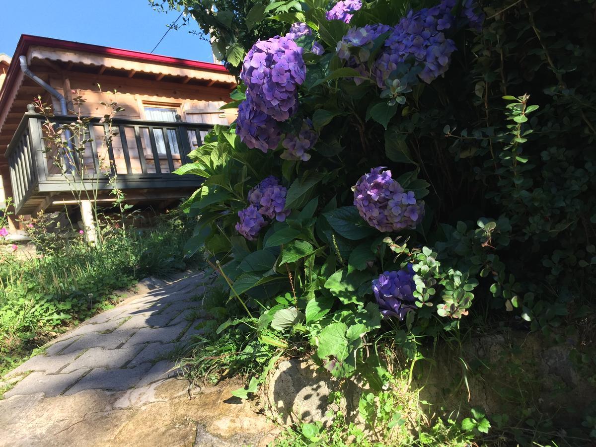 Pilita Bungalov&Rest Ayder Yaylasi Luaran gambar