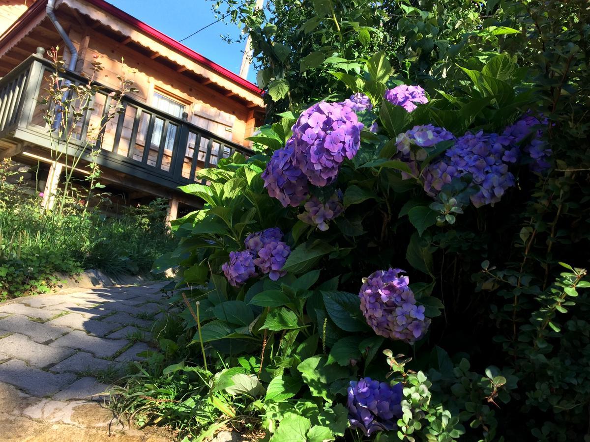 Pilita Bungalov&Rest Ayder Yaylasi Luaran gambar